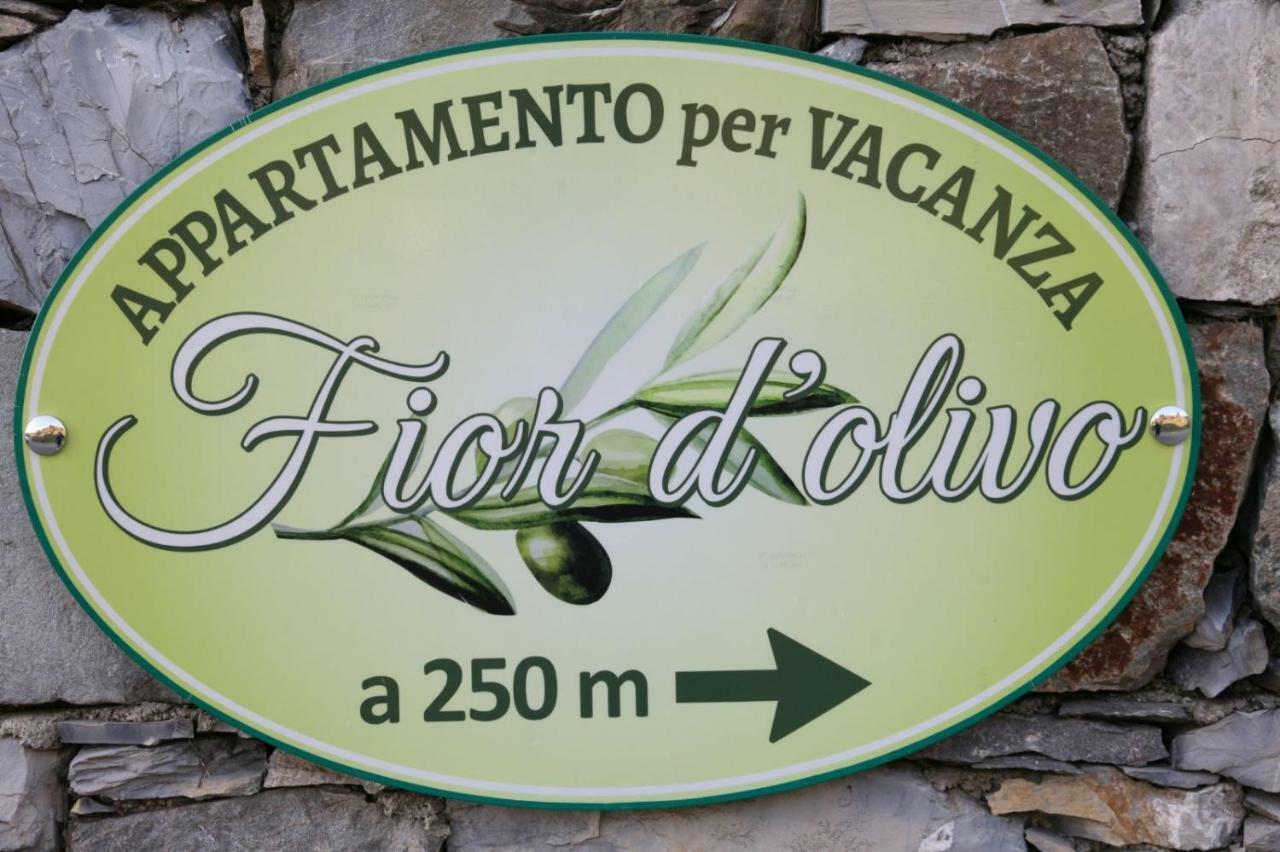 Fior D'Olivo - Villa Con Piscina Privata A Pochi Minuti Dal Centro Di Sestri Levante, Mare E Spiaggie Santo Stefano del Ponte Εξωτερικό φωτογραφία